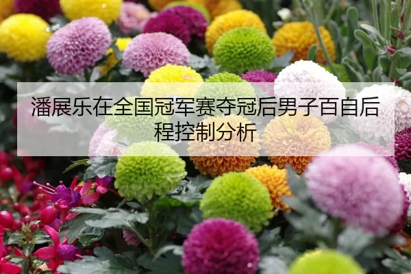 潘展乐在全国冠军赛夺冠后男子百自后程控制分析