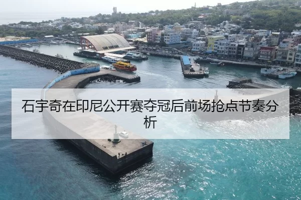 石宇奇在印尼公开赛夺冠后前场抢点节奏分析（Huatihui FIFA WORLDCUP）