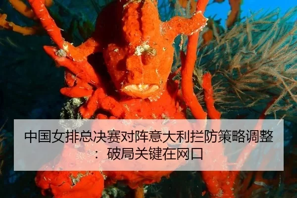 zhong-guo-nv-pai-zong-jue-sai-dui-zhen-yi-da-li-lan-fang-ce-lve-tiao-zheng-po-ju-guan-jian-zai-wang-kou-2-554.jpg