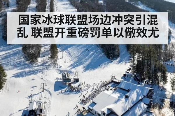 国家冰球联盟场边冲突引混乱 联盟开重磅罚单以儆效尤